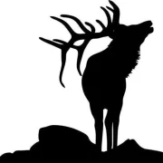 Emblem-Jagt/Weiß